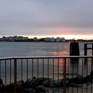 Meet your Posher, Abbye